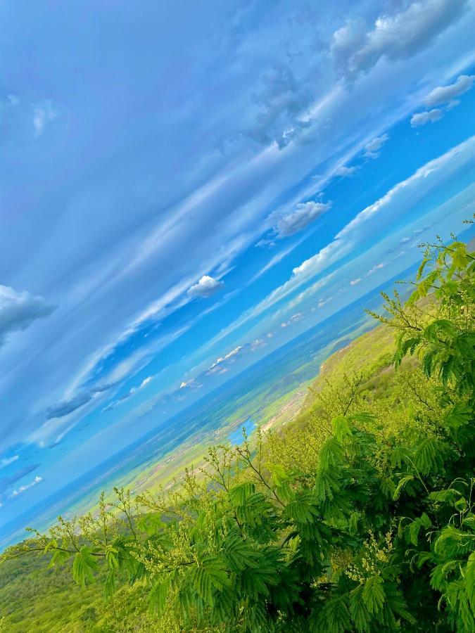 招待所 O Canto Do Jacu *